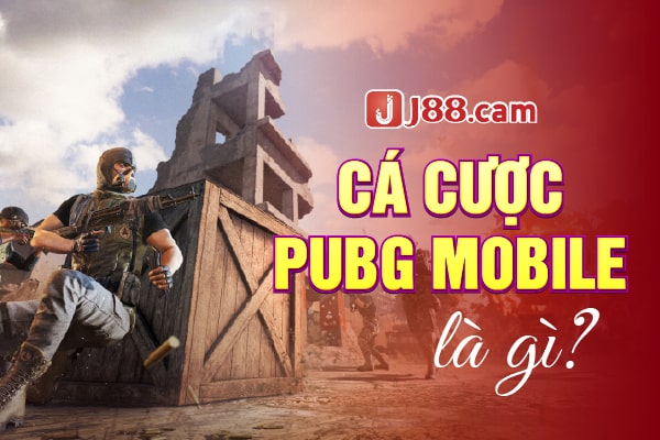 Cá cược PUBG mobile là gì? Cá cược PUBG mobile là gì?