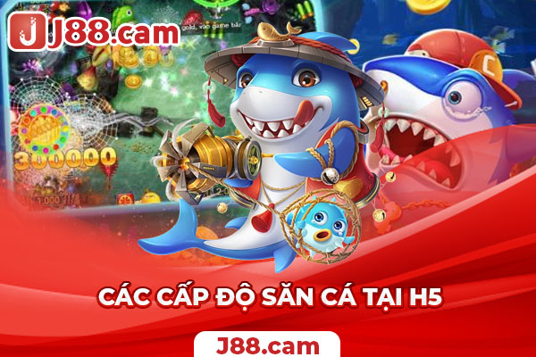 Các mức độ, phòng chơi bắn cá phổ biến tại cổng game Các mức độ, phòng chơi bắn cá phổ biến tại cổng game