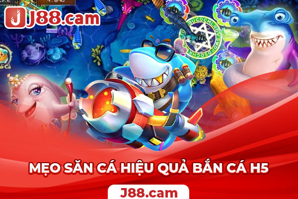 Học ngay những mẹo nhỏ để giúp bạn săn cá thành công Học ngay những mẹo nhỏ để giúp bạn săn cá thành công