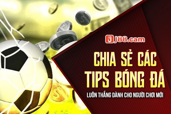 Chia sẻ các Tips bóng đá luôn thắng dành cho người chơi mới Chia sẻ các Tips bóng đá luôn thắng dành cho người chơi mới