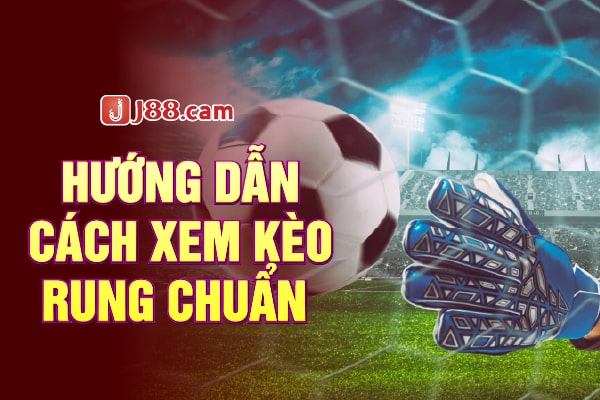 Hướng dẫn cách xem kèo rung chuẩn Hướng dẫn cách xem kèo rung chuẩn