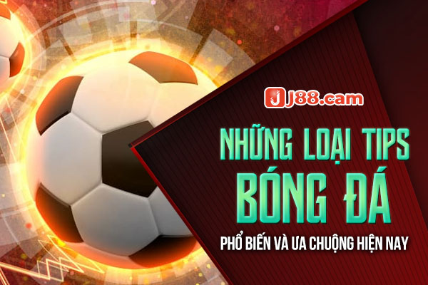 Những loại Tips bóng đá phổ biến và ưa chuộng hiện nay Những loại Tips bóng đá phổ biến và ưa chuộng hiện nay