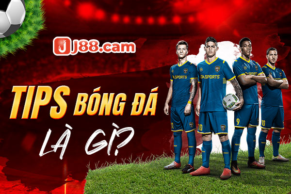 Tips bóng đá là gì? Tips bóng đá là gì?
