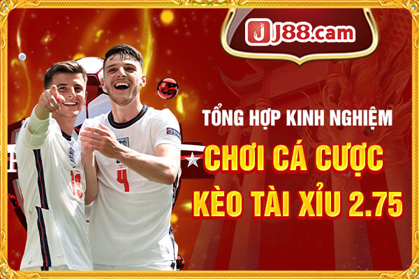 Tổng hợp kinh nghiệm chơi cá cược kèo Tài Xỉu 2.75 Tổng hợp kinh nghiệm chơi cá cược kèo Tài Xỉu 2.75